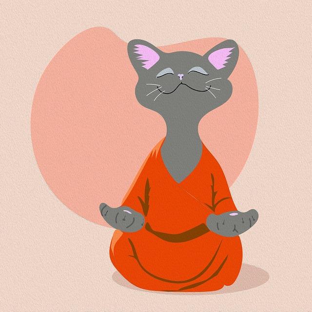 11 Fakta Bahaya dan Aturan Main: Bolehkah Kucing Makan Nasi Keju Roti? Cat Lovers Wajib Tahu! 11 Fakta Bahaya dan Aturan Main: Bolehkah Kucing Makan Nasi Keju Roti? Cat Lovers Wajib Tahu!